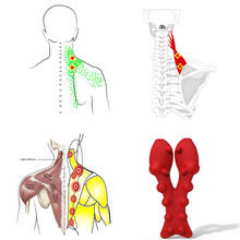 Load image into Gallery viewer, Levator Scapulae Syndrome Relief