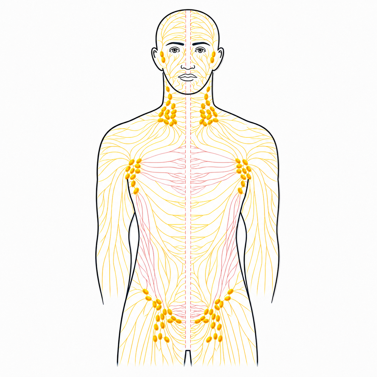 Myofascial Release & Gua Sha