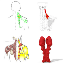 Load image into Gallery viewer, Levator Scapulae Syndrome Relief
